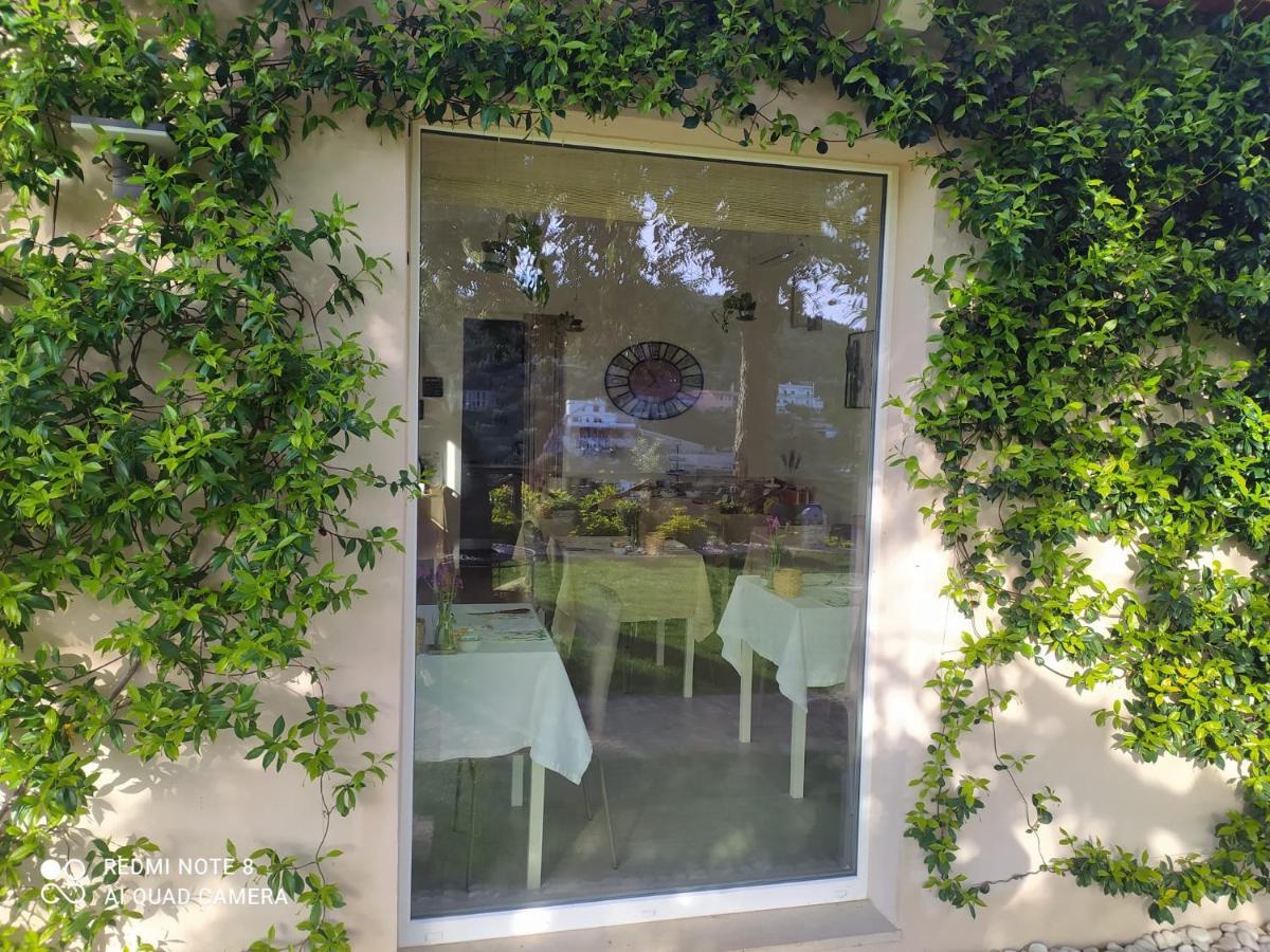 B&B Volver Peschici Kültér fotó